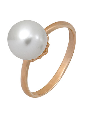 1240002519 1240002519