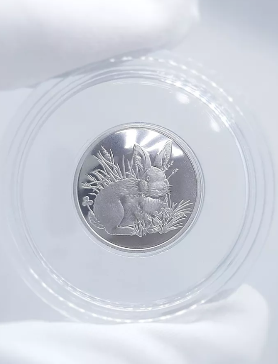 Серебряная монета с изображением Кролика. Символ года. (Арт. 9300409035)-1.png