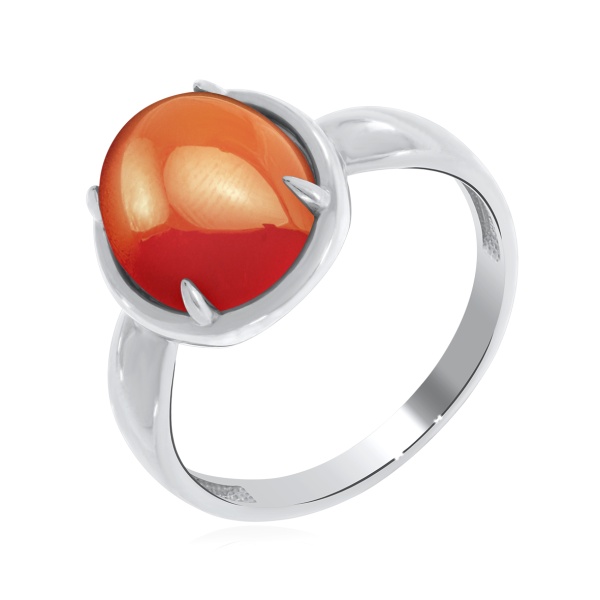 1340681838 1340681838