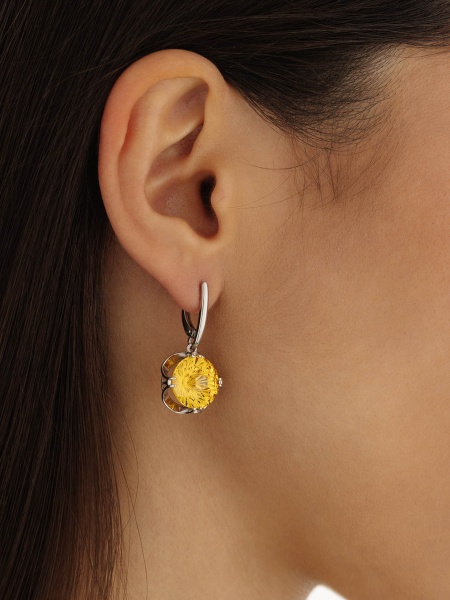 2340201708-50 Серьги (Ag 925)